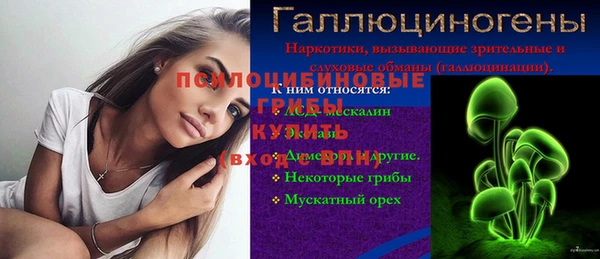 ешки Горно-Алтайск